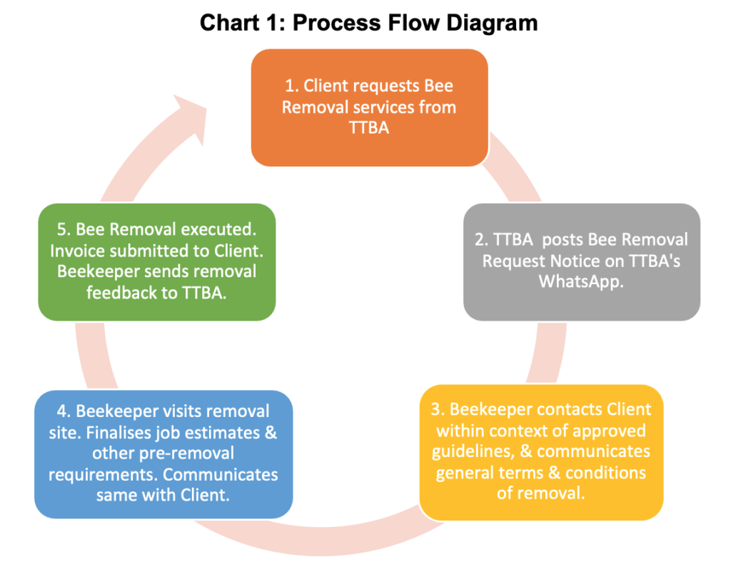 Process Flow Diagram